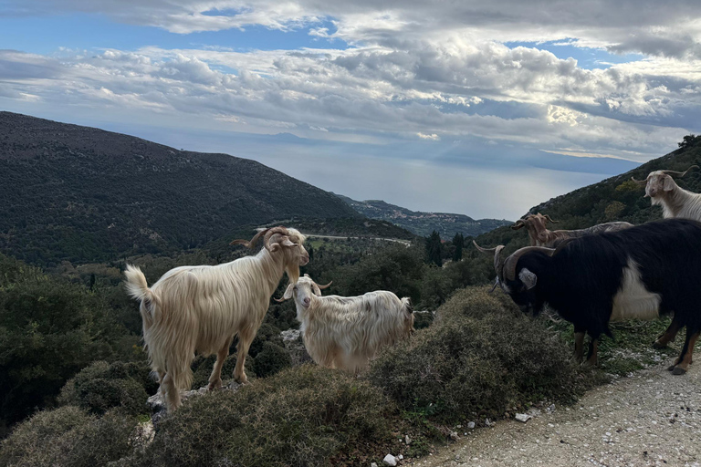 Kefalonia Ainos Premium 4x4 Van Experience