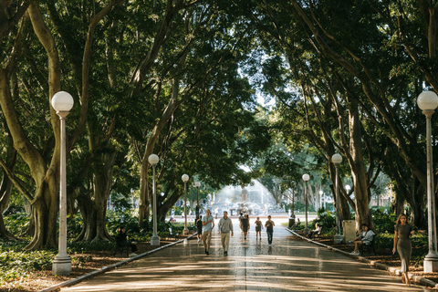 Sydney: Bondi Beach, Ópera y Visita Privada a la Ciudad de Sídney