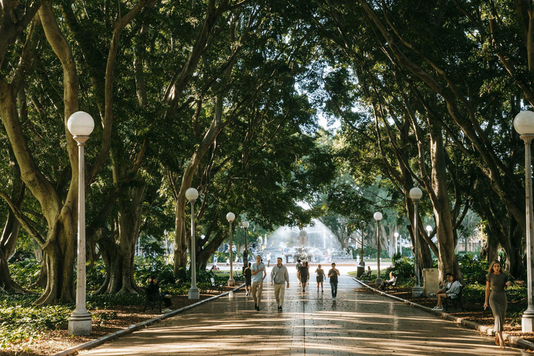 Sydney: Bondi Beach, Ópera y Visita Privada a la Ciudad de Sídney