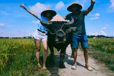 Cycling, Water Buffalo Riding, Traditional Farming Life