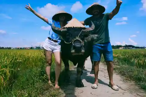 Cycling, Water Buffalo Riding, Traditional Farming Life