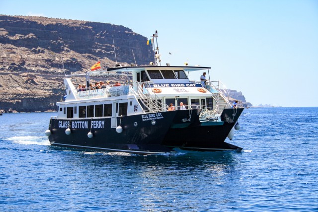 Visit Gran Canaria Catamaran Dolphin Watch Cruise with Snorkeling in Arguineguín