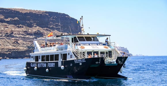 Gran Canaria: Catamaran Dolphin Watch Cruise with Snorkeling
