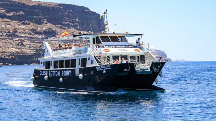 Gran Canaria: crucero en catamarán para avistas delfines y esnórquel
