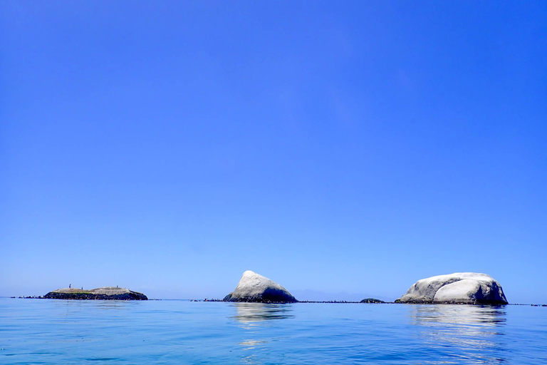 Cape Town: Discover Scuba Diving - 1 day experience