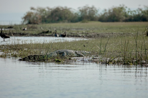 3-Day Murchison Falls Safari