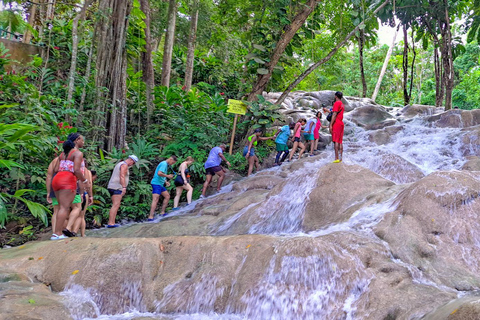 Montego Bay : Combo chutes de la rivière Dunn et trou bleu