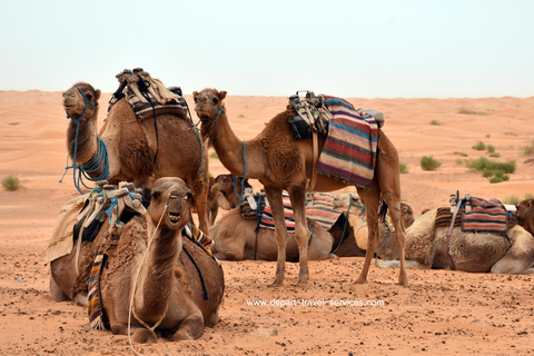 Private three days tour in the desert: 4x4, quad and camel.