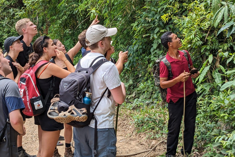 Chiang Mai: 1-Day Jungle Trekking in the Doi Inthanon Area