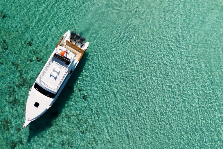 Komodo Day Trip 6 Spots | Premium Speedboat & Entrance Fees