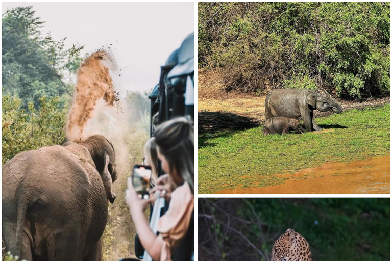 埃拉：乌达瓦拉维国家公园游猎之旅（含接送）埃拉：乌达瓦拉维国家公园游猎（含接送）