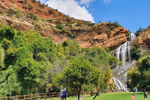 Johannesburg: Zwischenstopp-Tour ganz nach deinen WünschenJohannesburg: Individuell auf deine Bedürfnisse zugeschnittene Tour während deines Zwischenstopps