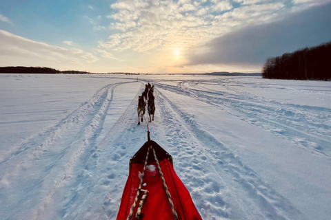 St-Liguori: Entdecke die Schönheit des Winters mit dem Hundeschlitten!