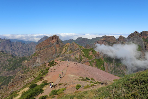 Madère : ARIEIRO PEAK, SANTANA, PONTA SÃO LOURENÇO JEEP TOURPrivé : Pic d&#039;Arieiro, Balcões, Santana &amp; Pta São Lourenço