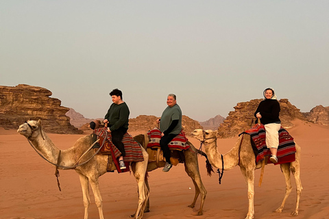 Discover Jordan from North to South in 7 Days