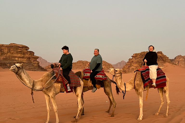 Discover Jordan from North to South in 7 Days