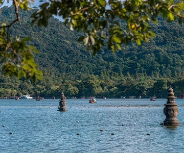 From Shanghai:Hangzhou Temples, Lake Views &Night Market Fun