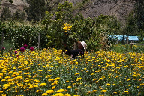 La Paz Flowers Valley Tour: ATV & Community Experience