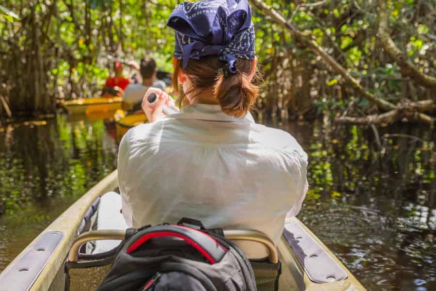 Sarasota: Kajak-Tour durch die Mangroven ab Lido Beach. Foto: GetYourGuide