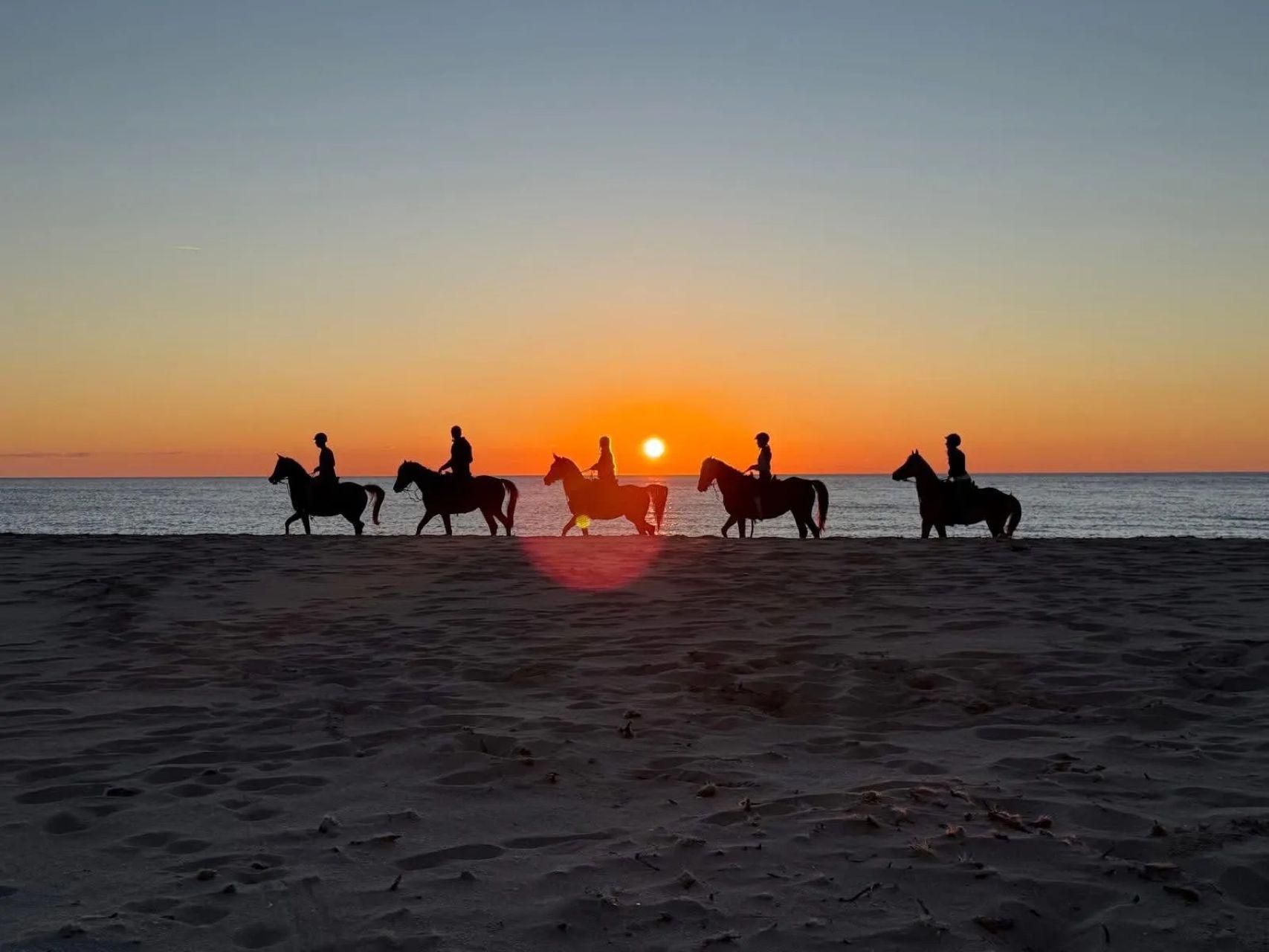 Macari: Ausritt entlang der Küste bei Sonnenuntergang mit einem Reitlehrer