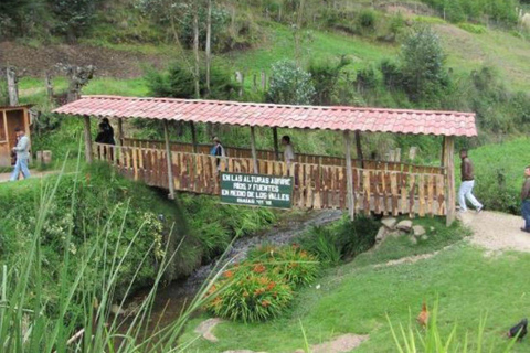 Visit to Porcon and Otuzco Farm in Cajamarca