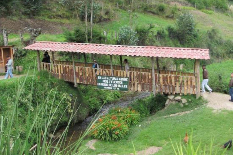 Visit to Porcon and Otuzco Farm in Cajamarca