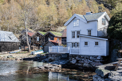Ålesund-Geiranger-Ålesund Fjord Tour (2 hours in Geiranger)