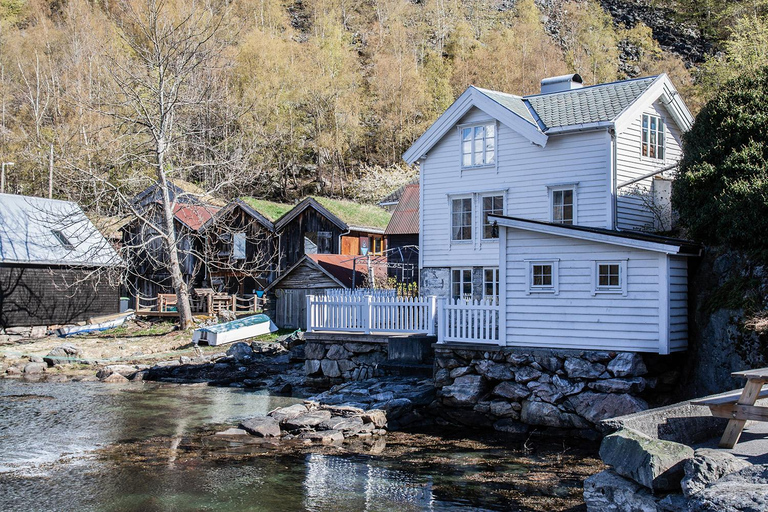 Ålesund-Geiranger-Ålesund Fjord Tour (2 hours in Geiranger)