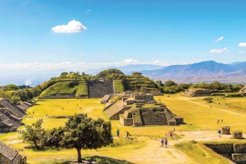 Oaxaca : Visite exclusive de l'empire de Monte Albán
