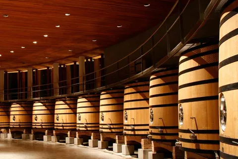 Luxury Wineries in Colchagua Full Day Tour