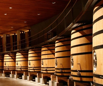 Excursão de 1 dia às vinícolas de luxo em Colchagua
