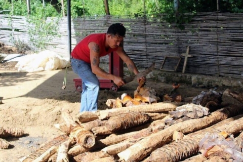 Oaxaca: Voorouderlijke Mezcal proeverij in de Ocotlan Vallei