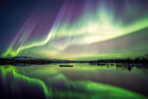 Da Reykjavík: tour in minibus a caccia dell&#039;aurora borealeTour per piccoli gruppi dell&#039;aurora boreale con foto e cacao caldo