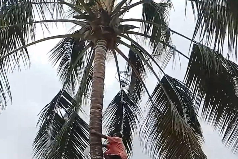 Mombasa City Highlights & Authentic Mijikenda Village Culture & Traditions