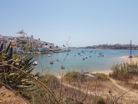 Portimão, Sardine Route - Hizvo