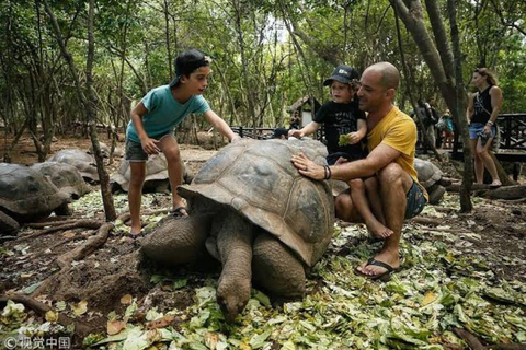 桑给巴尔：监狱岛、石头城和日落阿拉伯独桅帆船巡航在此选项中，从石头城接人