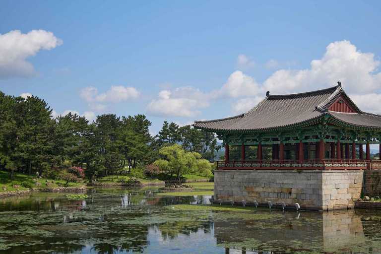 Gyeongju UNESCO Day Tour from Busan | Bulguksa & Seokguram Gyeongju:Seokguram Grotto Tour–Seomyeon Subway Stn. Exit 12