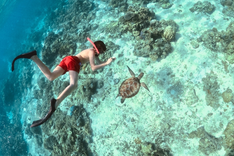 Îles Gili : plongée en apnée partagéeGili Islands : Excursion partagée de plongée avec masque et tuba