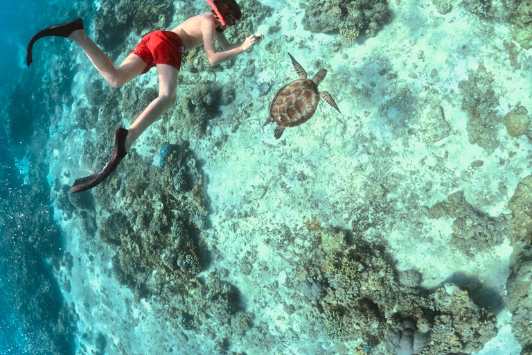 From Lombok: Gili Islands Private Snorkeling & Turtle Tour Private snorkeling with Roundtrip Hotel Transfer from Kuta