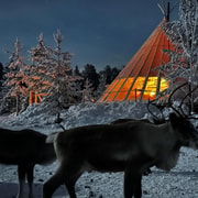 Luleå: 3-Gänge-Samendinner, Rentierbegegnung & Geschichten