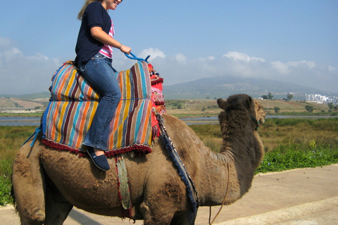 Flamingo's River Camel Ride with Tea