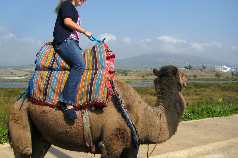 Flamingo's River Camel Ride with Tea