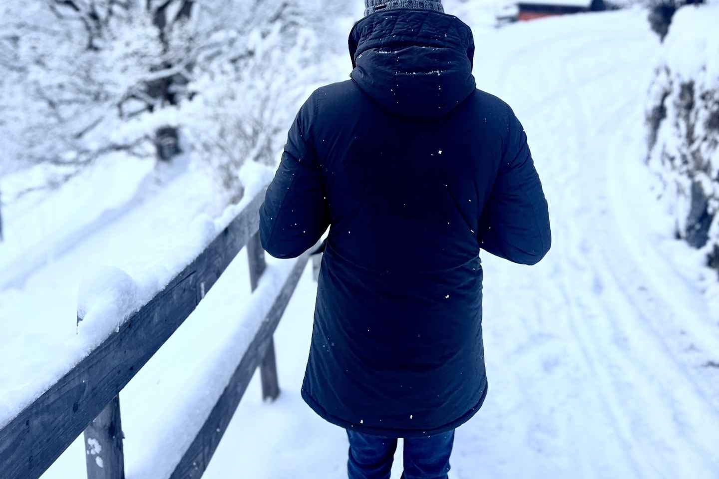 Interlaken: Lauterbrunnen, Wengen, and Grindelwald Day Trip