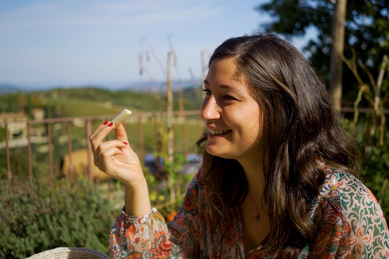 De Florence: visite privée d'une demi-journée du Chianti et dégustation de vins