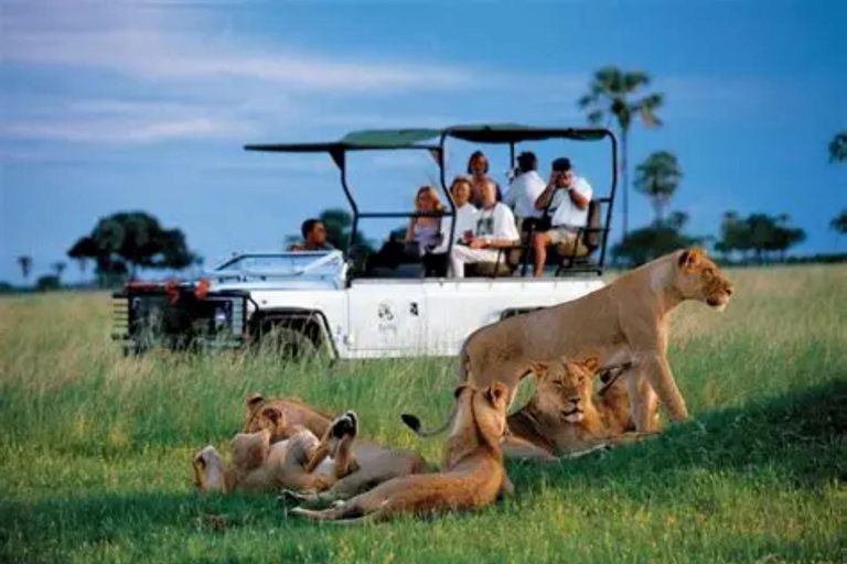 Victoria Falls: Chobe National Park Day Trip with Lunch