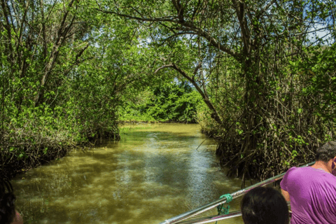 Punta Cana: Los Haitises & Caño Hondo natural pools Tour