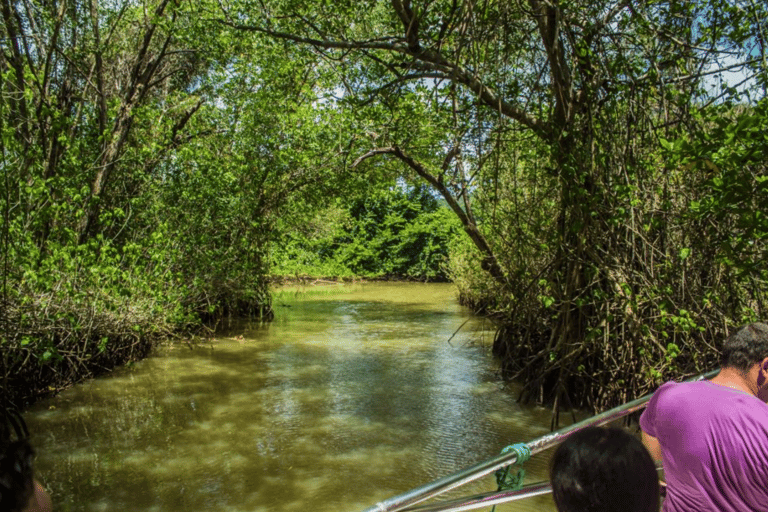 Punta Cana: Los Haitises & Caño Hondo natural pools Tour