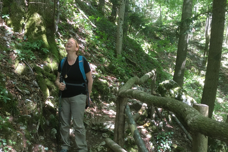 هونجكا: رحلة المشي لمسافات طويلة في جبل ميدفيدنيتسازغرب، هونجكا: نزهة لا تُنسى على جبل ميدفيدنيتسا