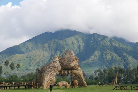 Ruanda: tour di 3 giorni - Città di Kigali, Parco Nazionale dei Vulcani