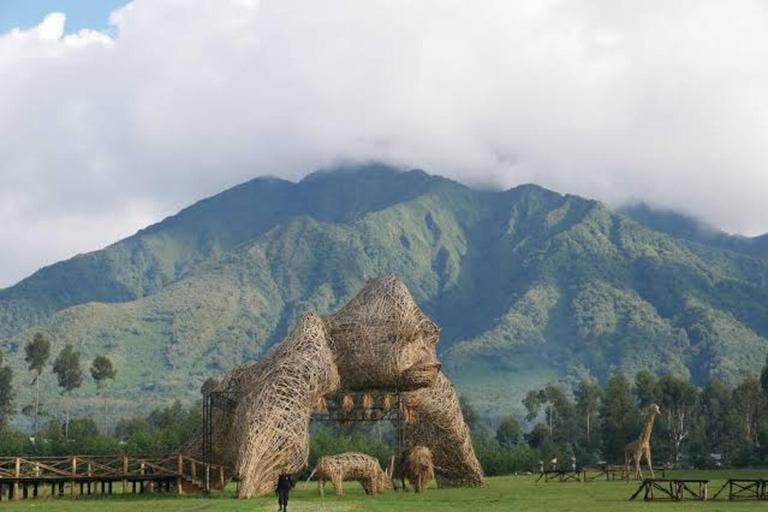 Rwanda : Circuit de 3 jours - Ville de Kigali, Parc national des Volcans